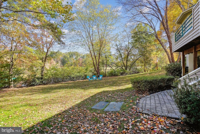 1145 Water Pointe Ln, Reston, VA 20194 - view of grassy yard