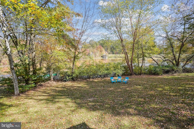 1145 Water Pointe Ln, Reston, VA 20194 - view of yard