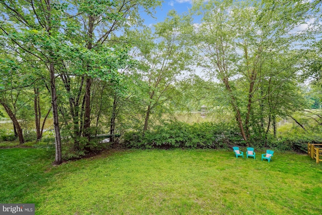 1145 Water Pointe Ln, Reston, VA 20194 - view of grassy yard
