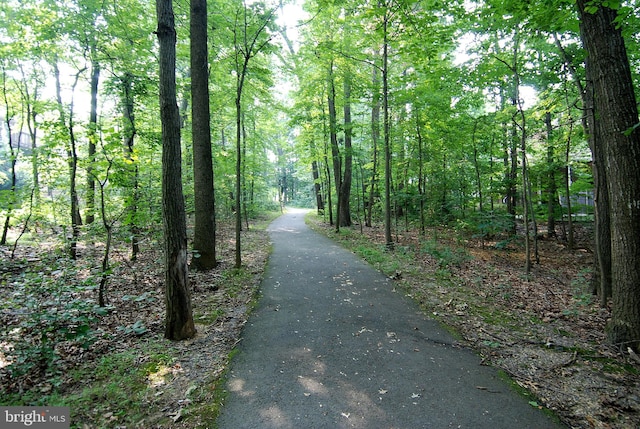 1145 Water Pointe Ln, Reston, VA 20194 - view of road featuring a wooded view