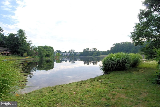 1145 Water Pointe Ln, Reston, VA 20194 - water view