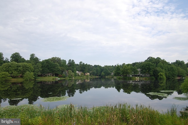 1145 Water Pointe Ln, Reston, VA 20194 - water view featuring a forest