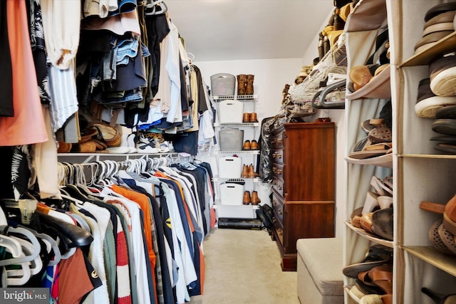 walk in closet featuring carpet