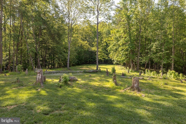 view of grassy yard with a wooded view