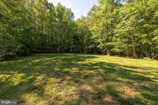 view of green lawn with a wooded view