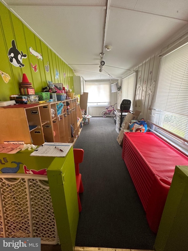 interior space featuring carpet floors and rail lighting