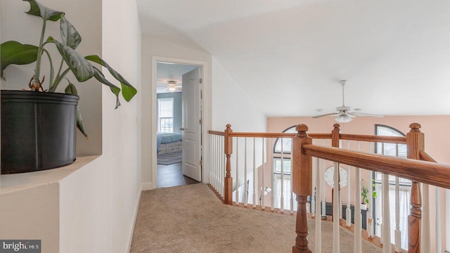 11400 Rolling Green Pl, Hagerstown, MD 21742 - hallway featuring lofted ceiling, carpet flooring, and an upstairs landing