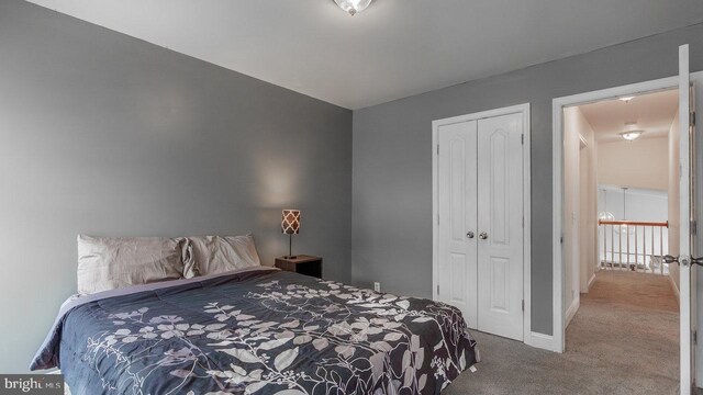 11400 Rolling Green Pl, Hagerstown, MD 21742 - bedroom with baseboards, a closet, and carpet