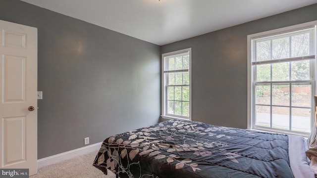 11400 Rolling Green Pl, Hagerstown, MD 21742 - carpeted bedroom with baseboards