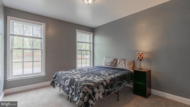 11400 Rolling Green Pl, Hagerstown, MD 21742 - bedroom with multiple windows, baseboards, and carpet floors