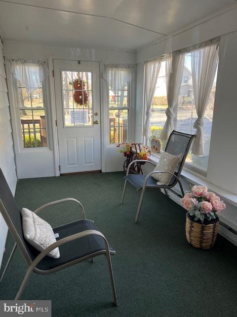 sunroom / solarium with carpet floors