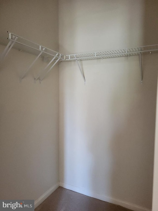 12001 Market St Unit 159, Reston, VA 20190 - view of walk in closet