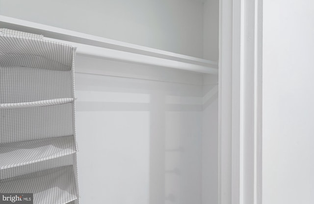 view of closet