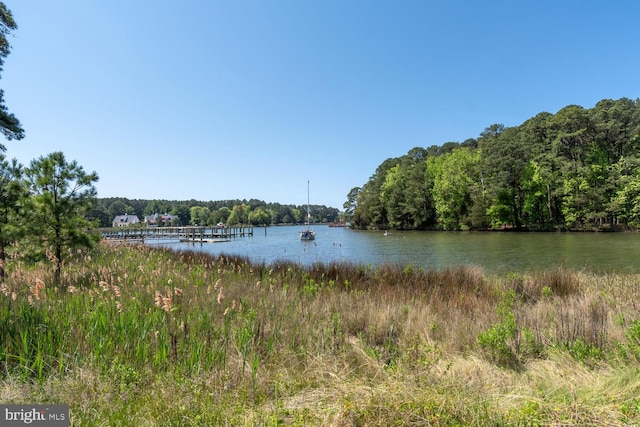 106 Boundary, Saint Michaels, MD 21663 - property view of water with a wooded view