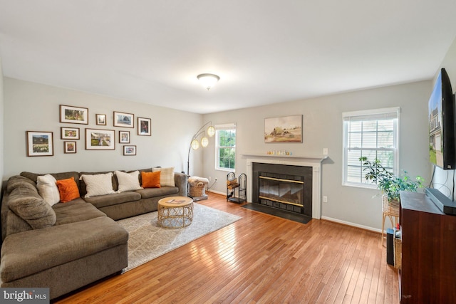 9033 Allington Manor Cir W, Frederick, MD 21703 - living room with light wood-style flooring, baseboards, and a fireplace with flush hearth
