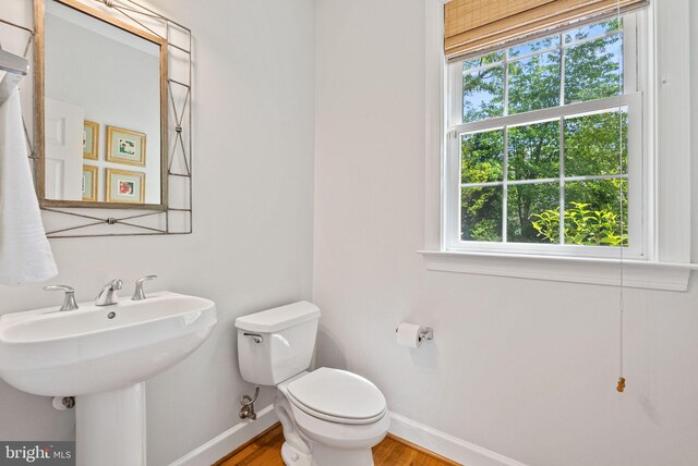 half bath with baseboards, wood finished floors, a healthy amount of sunlight, and toilet