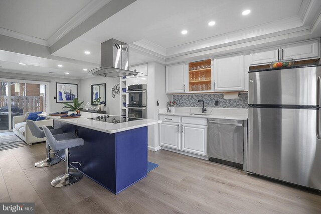 kitchen featuring island exhaust hood, ornamental molding, a raised ceiling, and appliances with stainless steel finishes