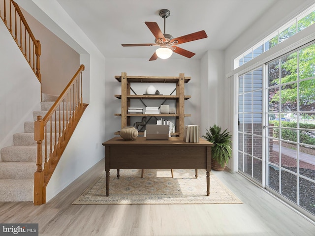 office featuring ceiling fan and wood finished floors