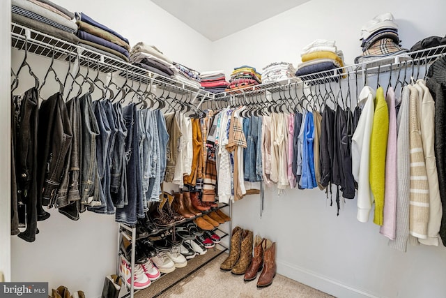walk in closet with carpet