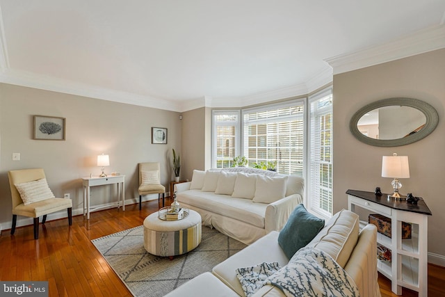 living area with crown molding, baseboards, and hardwood / wood-style flooring