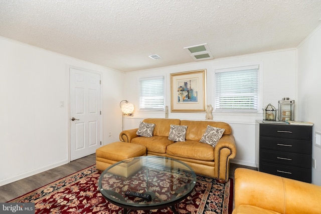 living room with a textured ceiling, wood finished floors, and a healthy amount of sunlight