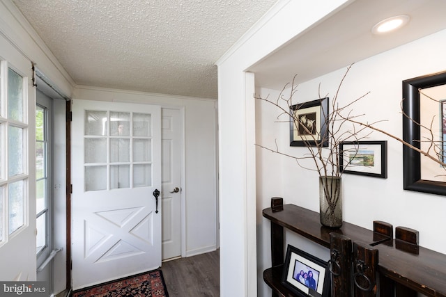 doorway to outside with a textured ceiling and wood finished floors