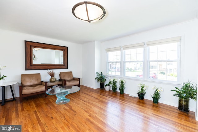 living area featuring baseboards and wood finished floors