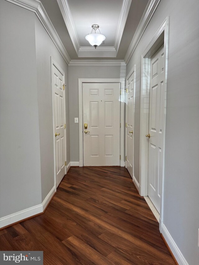 doorway with baseboards, ornamental molding, dark wood finished floors, and a raised ceiling