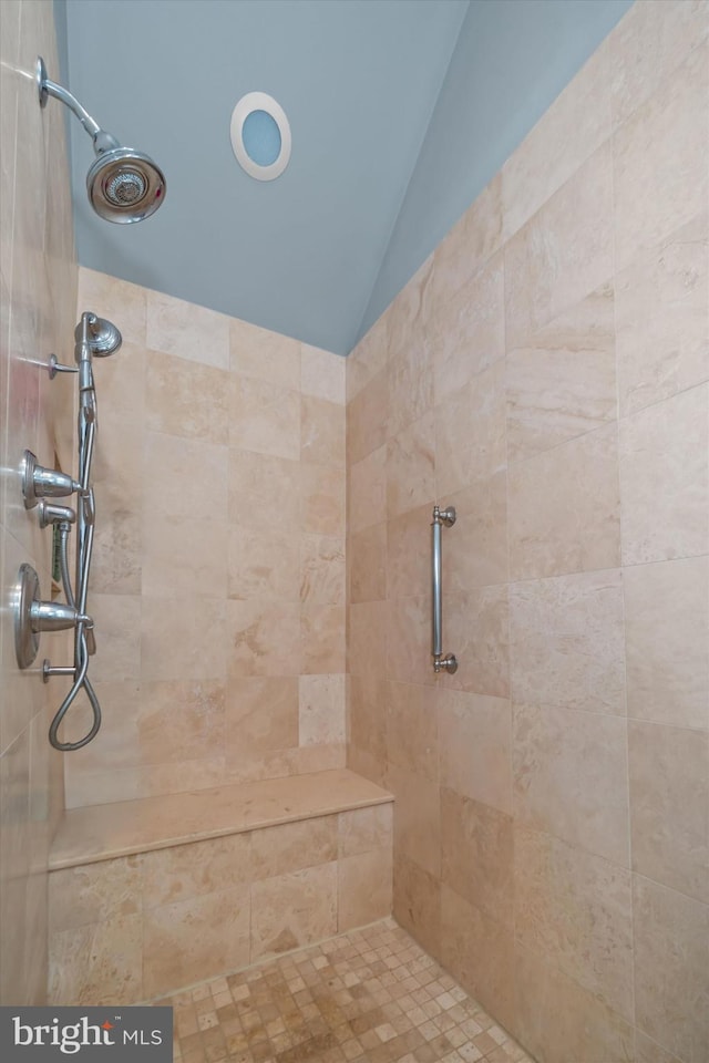 723 Ann Dr, Kennett Square, PA 19348 - bathroom featuring vaulted ceiling and tiled shower