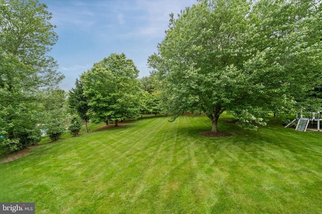 723 Ann Dr, Kennett Square, PA 19348 - view of grassy yard