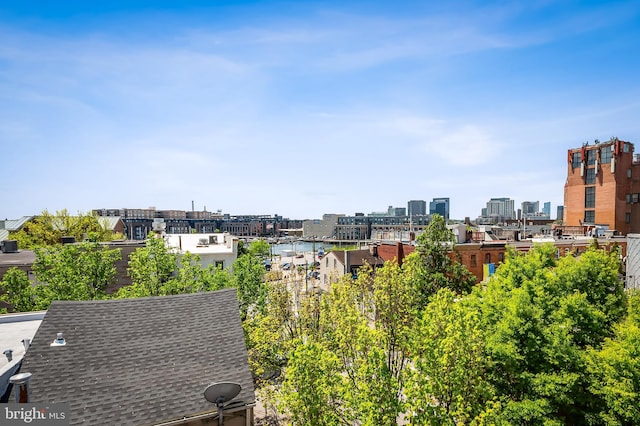 property's view of city