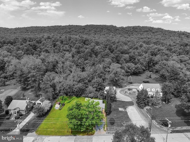 21194 Main St, Shade Gap, PA 17255 - aerial view of property's location featuring a heavily wooded area and property boundaries highlighted
