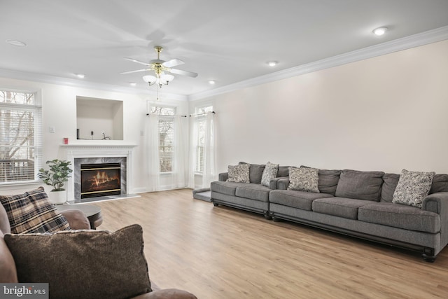 living area with crown molding, plenty of natural light, and a fireplace