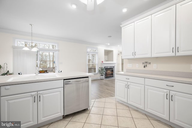 kitchen with stainless steel dishwasher, a premium fireplace, plenty of natural light, and a sink