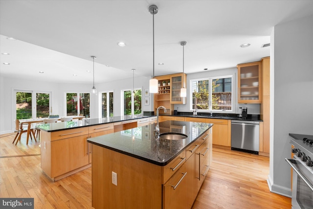 kitchen with a kitchen island with sink, light wood-type flooring, plenty of natural light, a sink, and stainless steel appliances