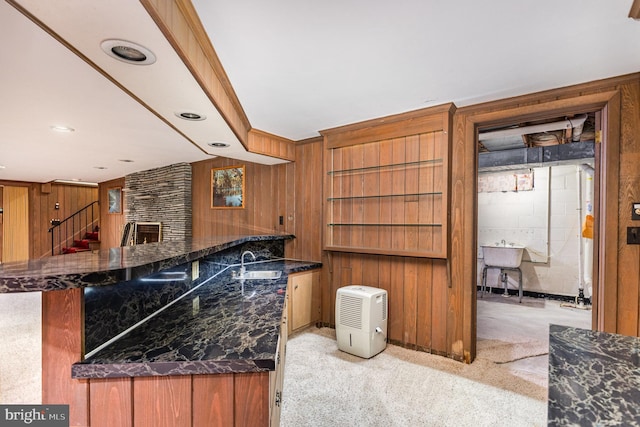 kitchen featuring a sink, dark stone counters, wood walls, and light colored carpet