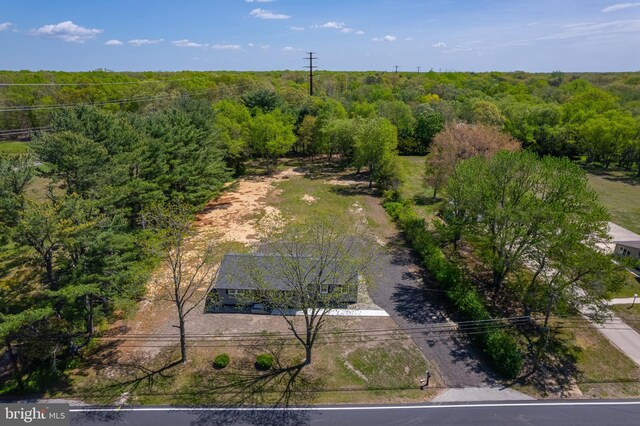 bird's eye view with a view of trees
