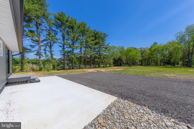 view of yard featuring a patio area