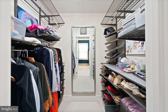 20790 Duxbury Ter, Ashburn, VA 20147 - view of spacious closet