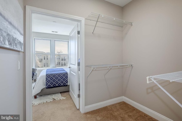 spacious closet with carpet