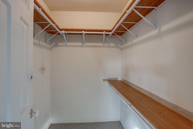 spacious closet with carpet