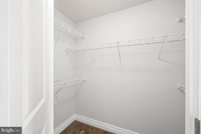 spacious closet with dark carpet