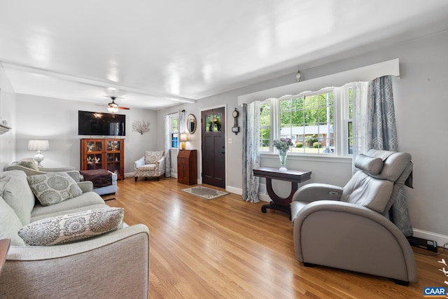 1014 Holmes Ave, Charlottesville, VA 22901 - living area with a ceiling fan, baseboards, and light wood-style floors
