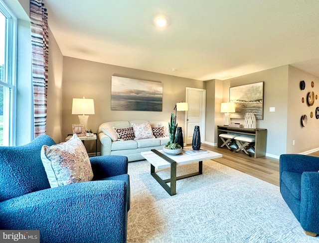 living room with baseboards and wood finished floors