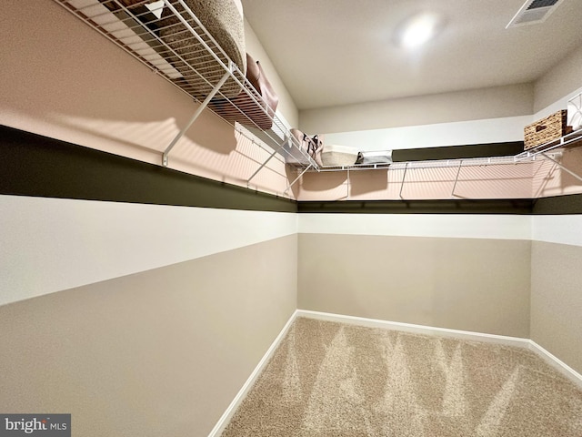 spacious closet with carpet floors and visible vents