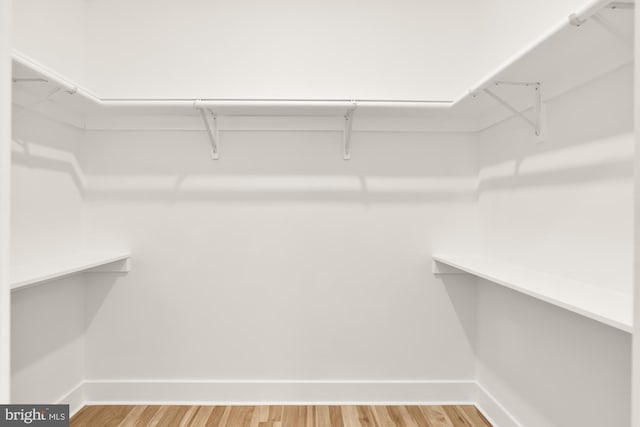 1251 Morse St NE Unit Ph3, Washington, DC 20002 - walk in closet with wood finished floors