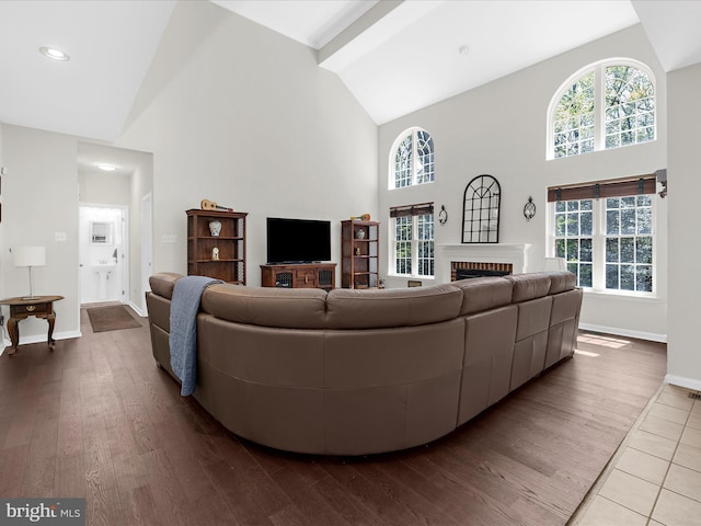 8283 Waterford Mill Ct, Pasadena, MD 21122 - living area featuring high vaulted ceiling, a healthy amount of sunlight, baseboards, and a fireplace