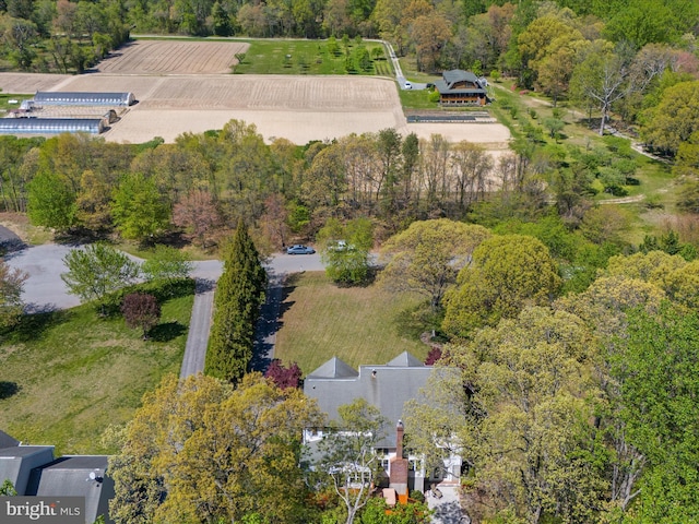 8283 Waterford Mill Ct, Pasadena, MD 21122 - drone / aerial view with a forest view