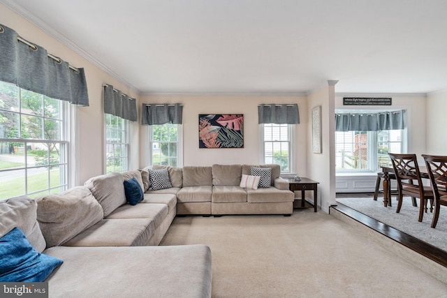 5229 Woodleaf Ct, Centreville, VA 20120 - carpeted living area featuring crown molding and plenty of natural light
