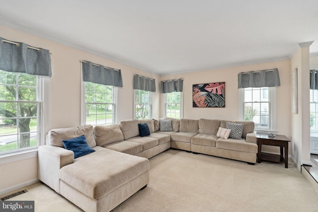 5229 Woodleaf Ct, Centreville, VA 20120 - living area featuring crown molding, plenty of natural light, light colored carpet, and baseboards